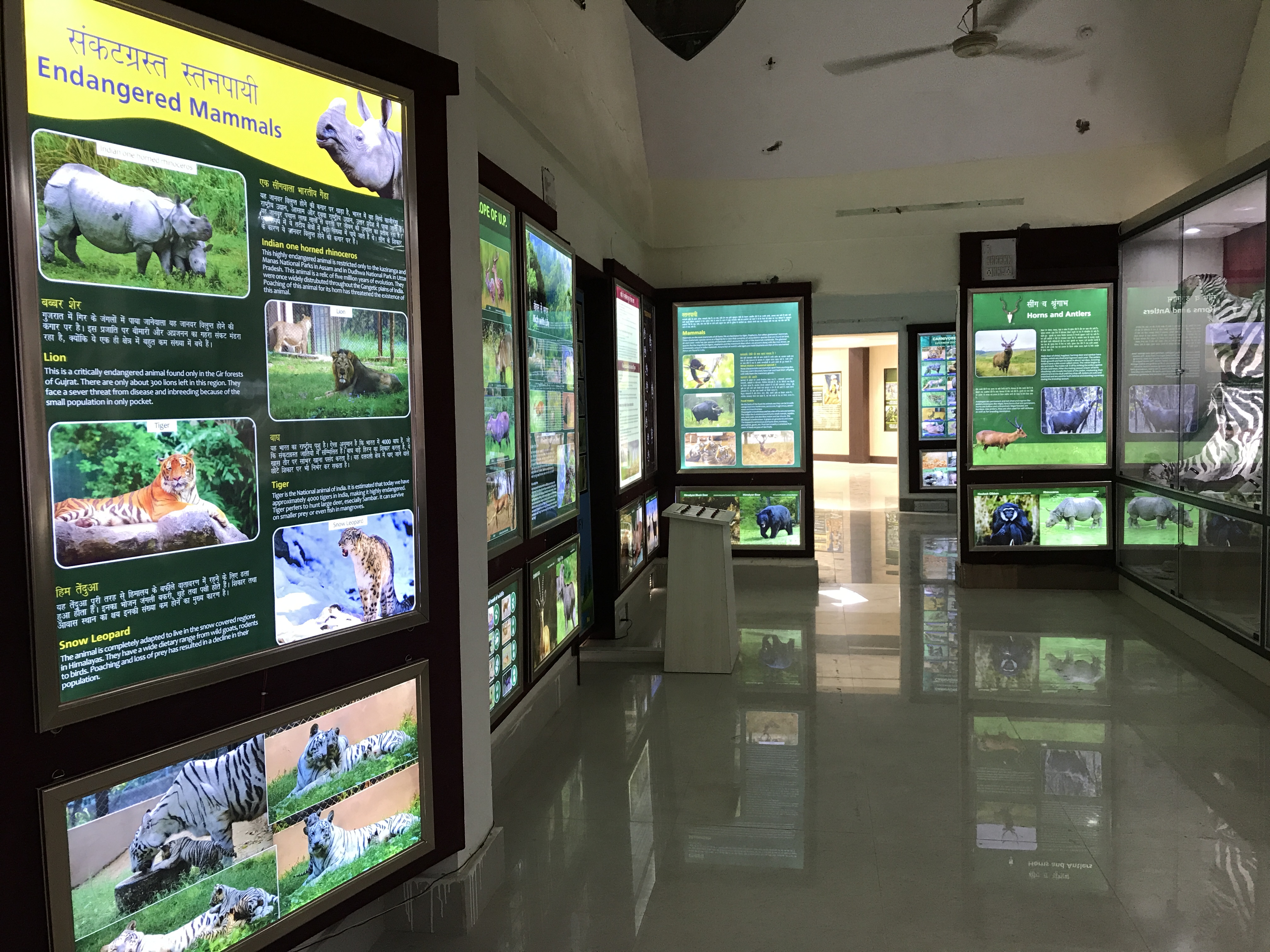 Nature learning center